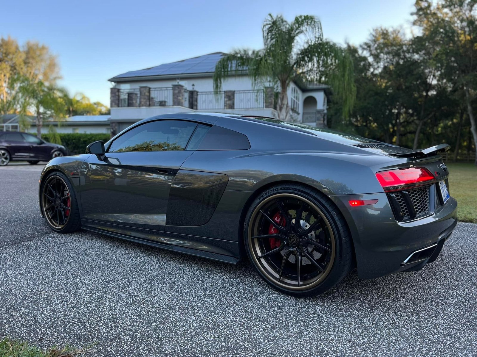 Carbon Fiber Side Skirts - Audi R8 V10 - 图片 10