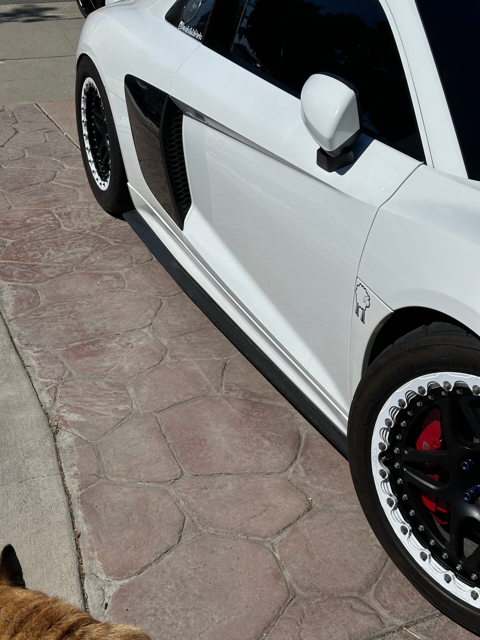Carbon Fiber Side Skirts - Audi R8 V10 - 图片 7