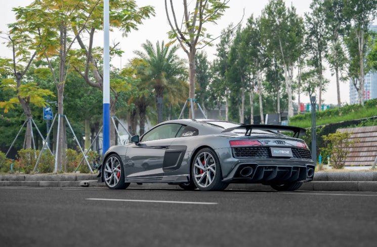 Paktechz Dry Carbon Fiber Side Blades - Audi R8 Gen2 - product detail 4