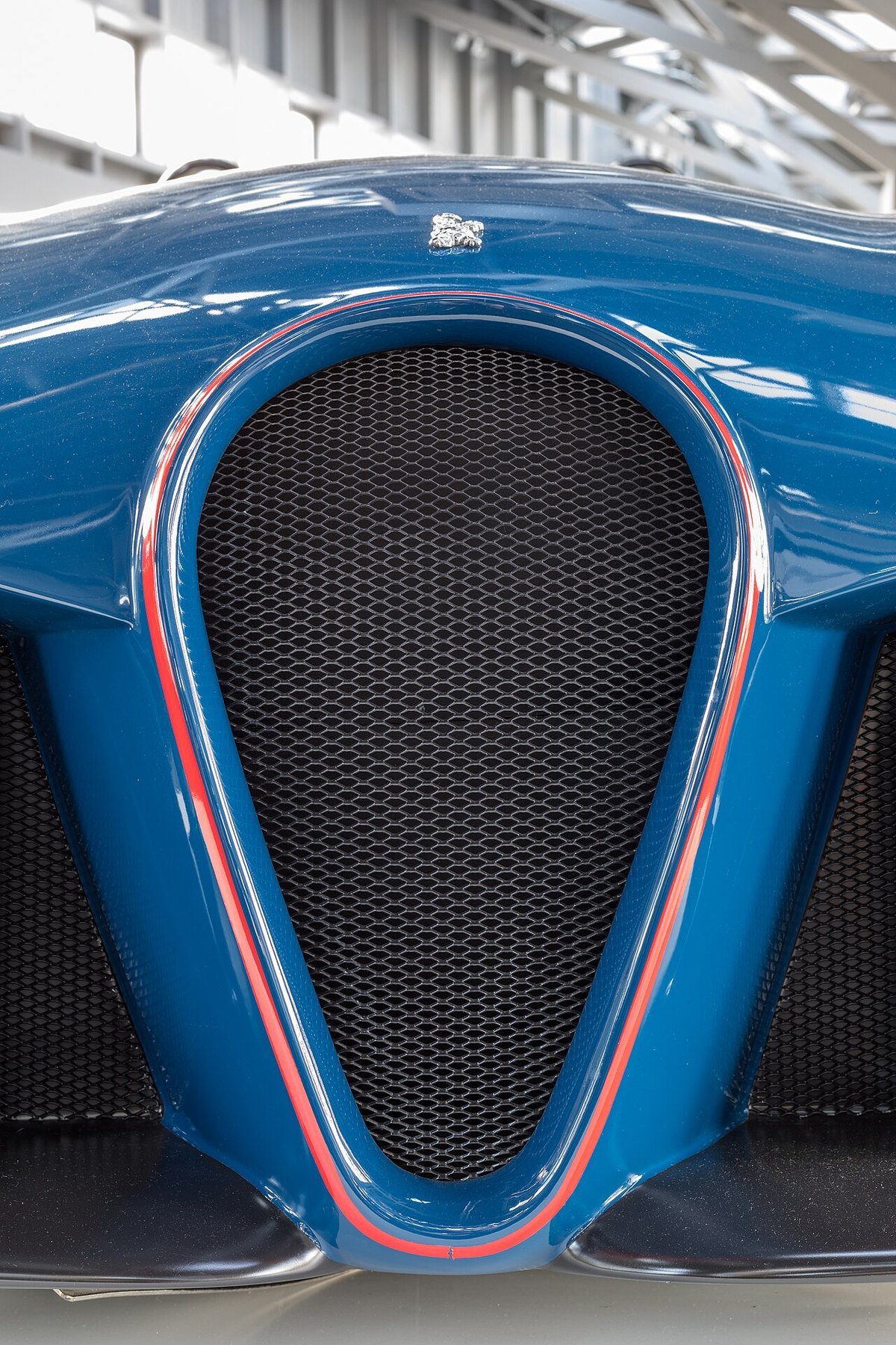 Real photograph of the front grille on a Wiesmann Spyder concept sports car